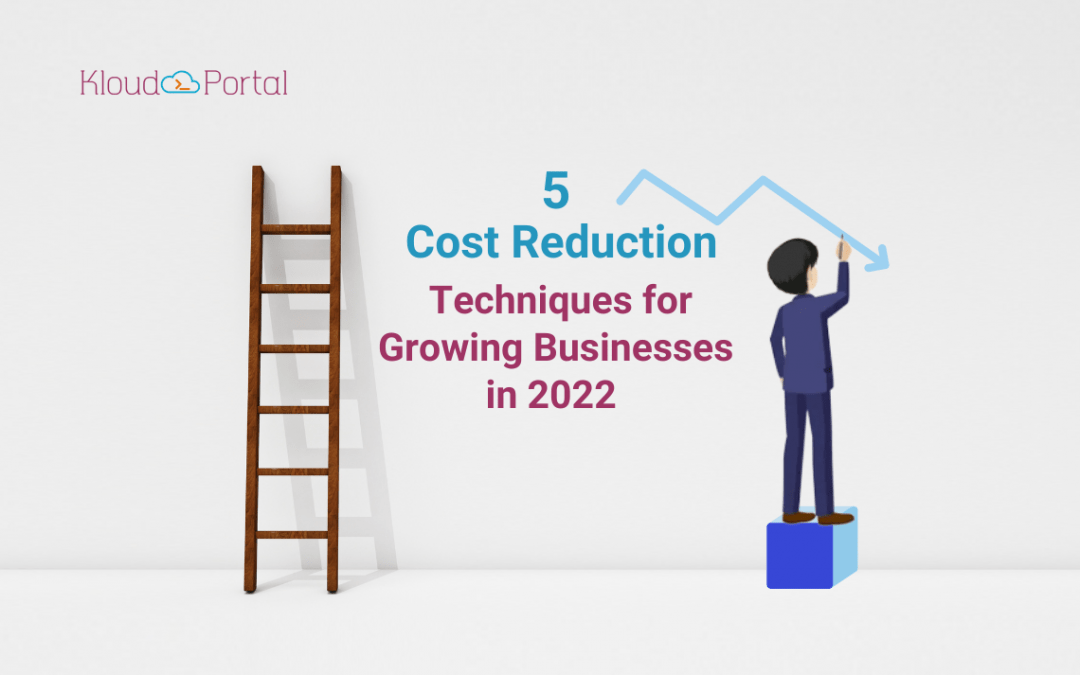 5 Cost Reduction Techniques For Growing Businesses In 2022