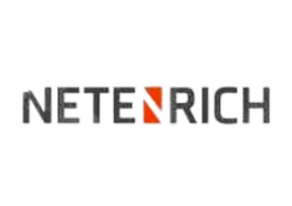 Netenrich logo